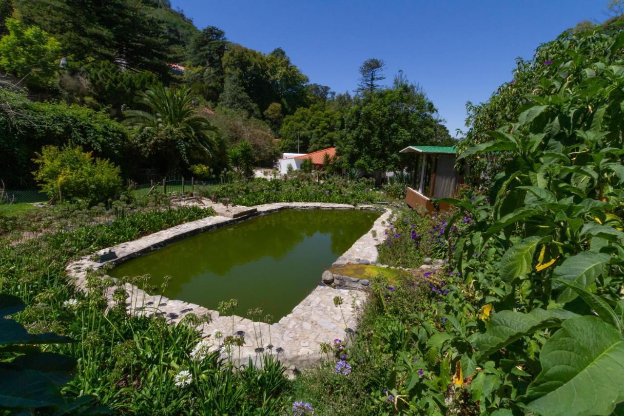 Hotel Quinta Das Murtas Sintra Exterior foto